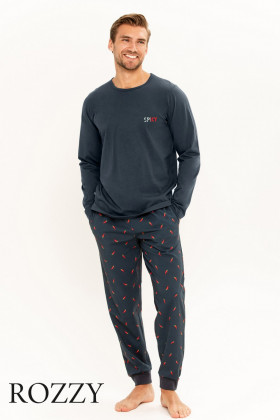 Пижама мужская Taro Eric 3312/3313 графитовый