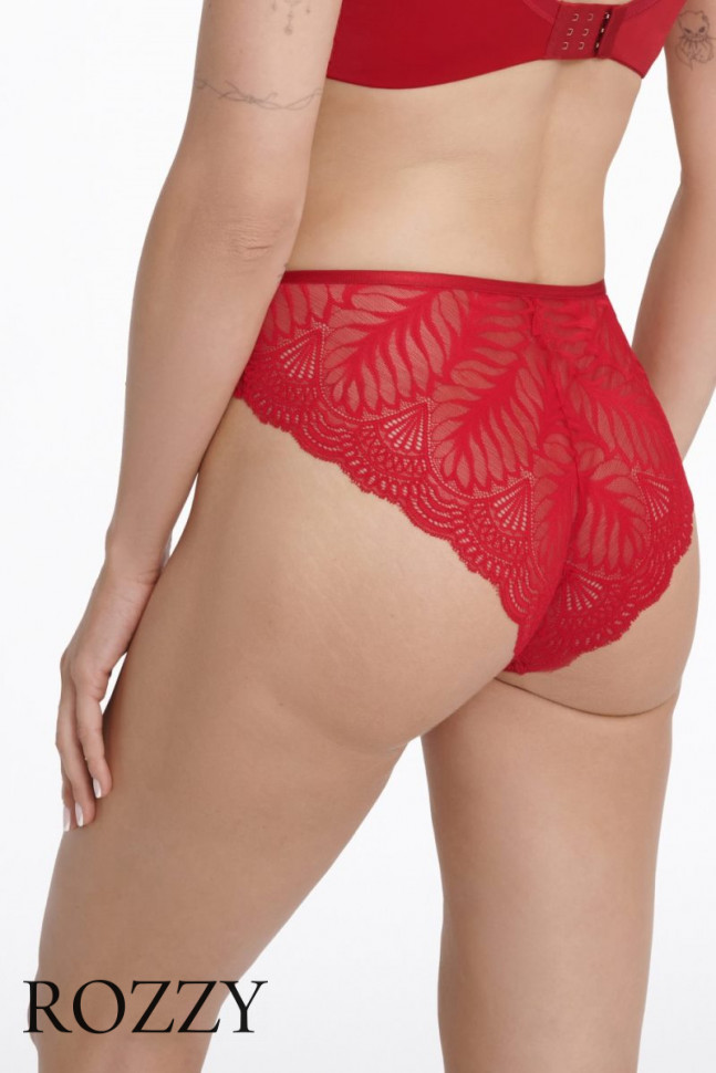 Трусы слипы Esotiq Isabelle 41024 красный