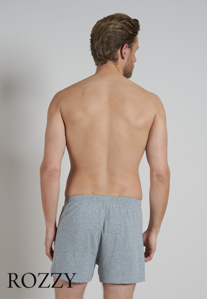 Трусы боксеры мужские Ceceba 002675/5XL-6XL серый меланж/синий(уп.2шт.)