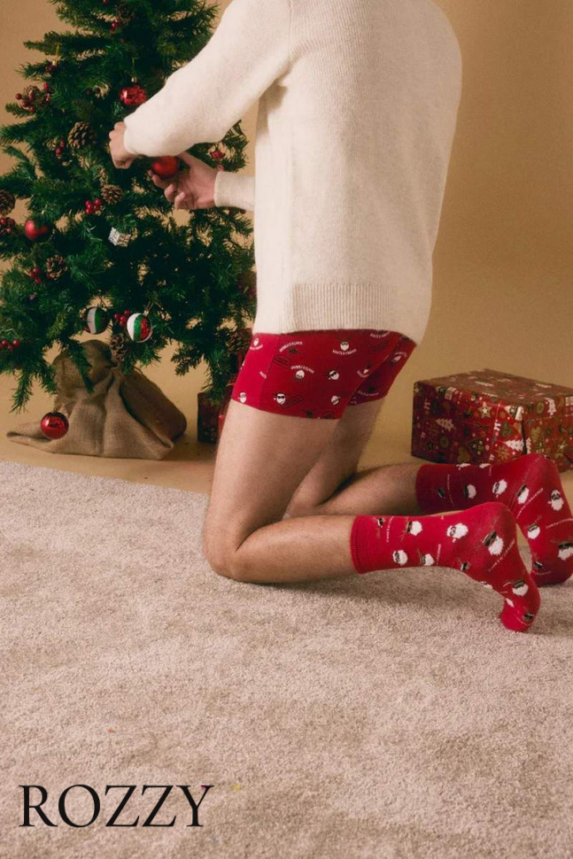 Набор трусы шорты мужские + носки Ysabel Mora 20385 красный