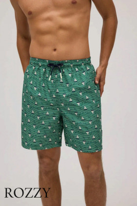 Шорты купальные мужские Ysabel Mora 90315 зеленый
