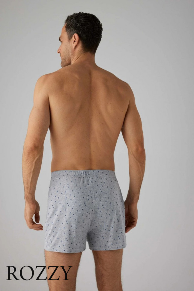 Трусы боксеры мужские Ysabel Mora 20351 серый