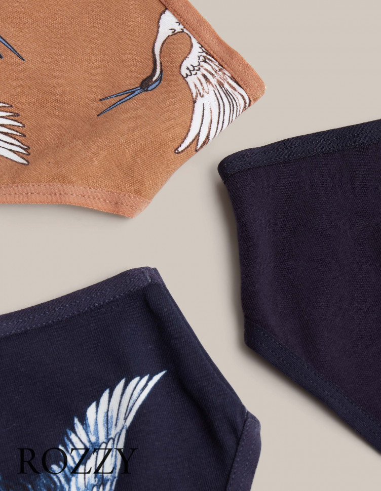 Трусы слипы хлопковые Esotiq Mia-Mia 42267 мультиколор (K006) (уп.3шт.)